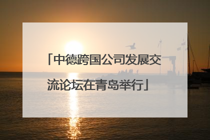 中德跨国公司发展交流论坛在青岛举行