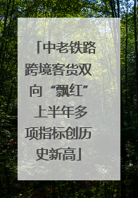 中老铁路跨境客货双向“飘红” 上半年多项指标创历史新高