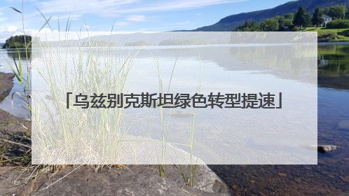 乌兹别克斯坦绿色转型提速
