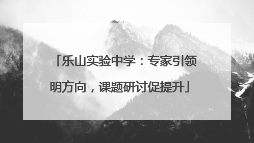 乐山实验中学：专家引领明方向，课题研讨促提升