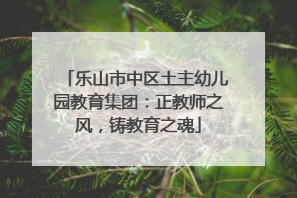 乐山市中区土主幼儿园教育集团：正教师之风，铸教育之魂