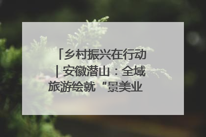 乡村振兴在行动｜安徽潜山：全域旅游绘就“景美业兴民富”新画卷