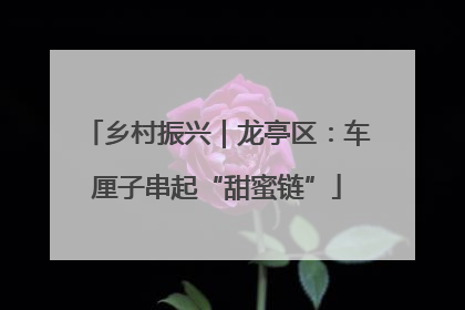 乡村振兴｜龙亭区：车厘子串起“甜蜜链”