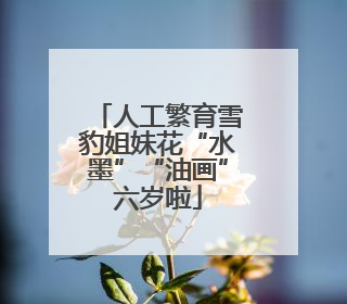 人工繁育雪豹姐妹花“水墨”“油画”六岁啦