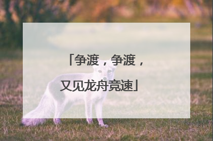 争渡，争渡，又见龙舟竞速