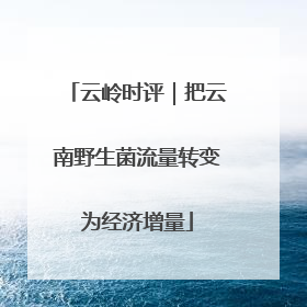 云岭时评｜把云南野生菌流量转变为经济增量