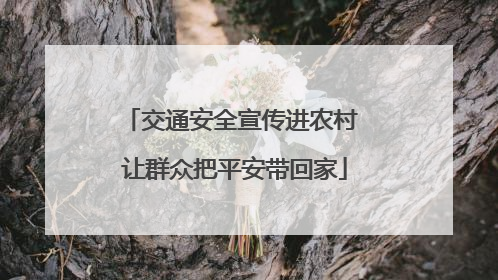交通安全宣传进农村 让群众把平安带回家