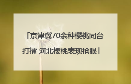 京津冀70余种樱桃同台打擂 河北樱桃表现抢眼