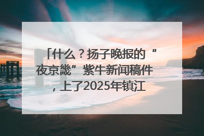 什么？扬子晚报的“夜京畿”紫牛新闻稿件，上了2025年镇江中考模拟卷！