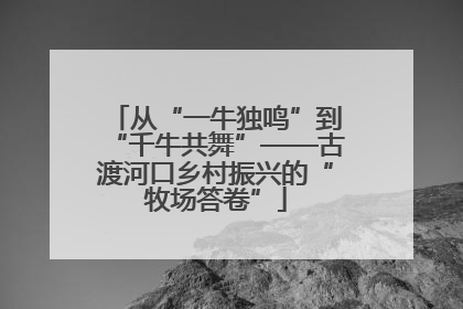 从“一牛独鸣”到“千牛共舞”——古渡河口乡村振兴的“牧场答卷”