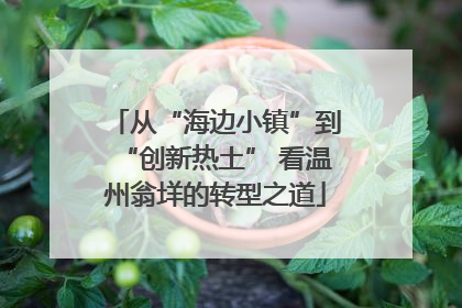 从“海边小镇”到“创新热土” 看温州翁垟的转型之道