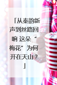 从秦韵新声到丝路回响 这朵“梅花”为何开在天山？