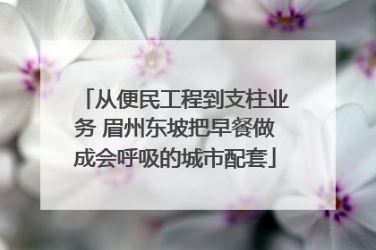 从便民工程到支柱业务 眉州东坡把早餐做成会呼吸的城市配套