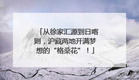从徐家汇源到日喀则，沪藏两地开满梦想的“格桑花”！