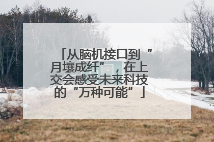 从脑机接口到“月壤成纤”，在上交会感受未来科技的“万种可能”