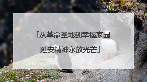 从革命圣地到幸福家园 延安精神永放光芒