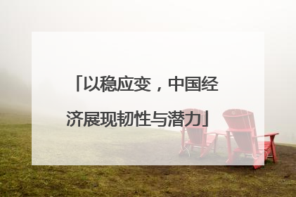 以稳应变，中国经济展现韧性与潜力