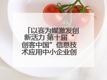 以赛为媒激发创新活力 第十届“创客中国”信息技术应用中小企业创新创业大赛举行
