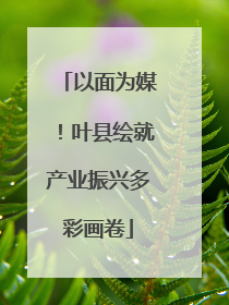 以面为媒！叶县绘就产业振兴多彩画卷