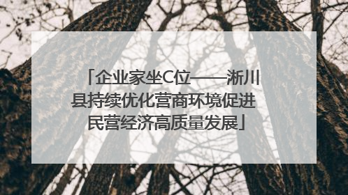 企业家坐C位——淅川县持续优化营商环境促进 民营经济高质量发展
