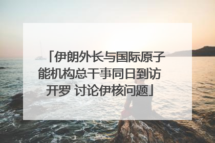 伊朗外长与国际原子能机构总干事同日到访开罗 讨论伊核问题