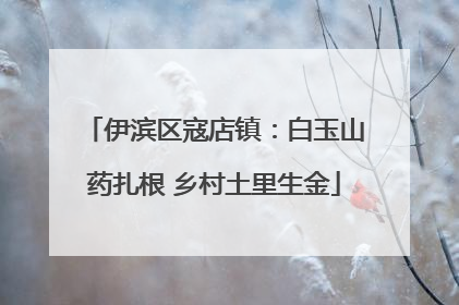 伊滨区寇店镇：白玉山药扎根 乡村土里生金