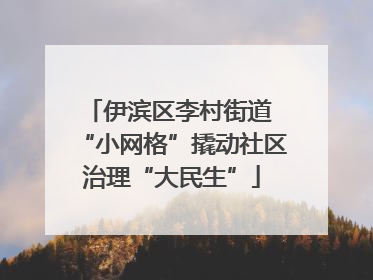 伊滨区李村街道 “小网格”撬动社区治理“大民生”