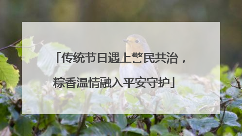 传统节日遇上警民共治，粽香温情融入平安守护
