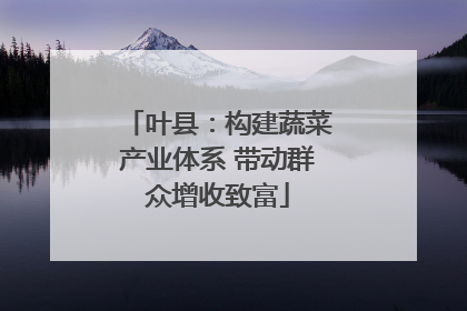 叶县：构建蔬菜产业体系 带动群众增收致富