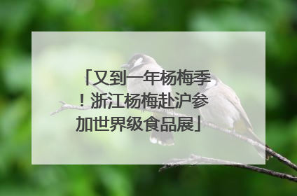 又到一年杨梅季！浙江杨梅赴沪参加世界级食品展