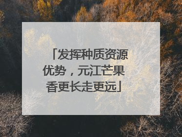 发挥种质资源优势，元江芒果香更长走更远