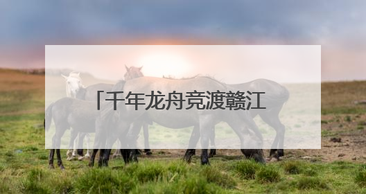 千年龙舟竞渡赣江 万安文旅融合焕新彩