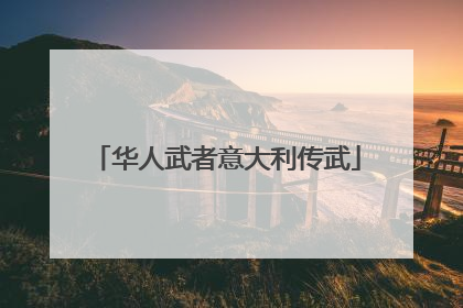 华人武者意大利传武