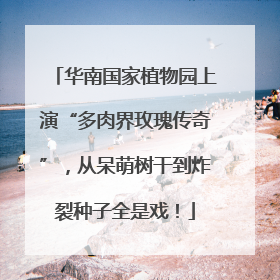 华南国家植物园上演“多肉界玫瑰传奇”，从呆萌树干到炸裂种子全是戏！