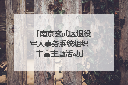 南京玄武区退役军人事务系统组织丰富主题活动
