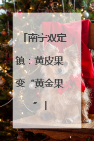 南宁双定镇：黄皮果变“黄金果”