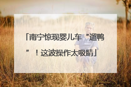 南宁惊现婴儿车“遛鸭”！这波操作太吸睛