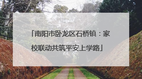 南阳市卧龙区石桥镇：家校联动共筑平安上学路