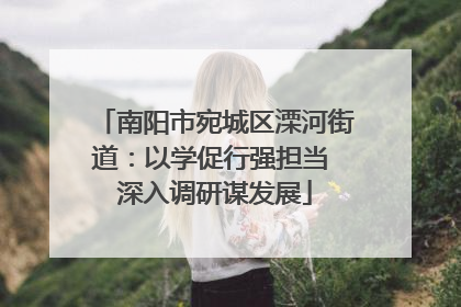 南阳市宛城区溧河街道：以学促行强担当 深入调研谋发展