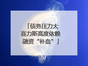 债务压力大 赛力斯高度依赖融资“补血”