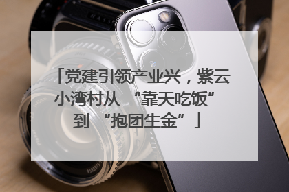 党建引领产业兴，紫云小湾村从 “靠天吃饭” 到 “抱团生金”