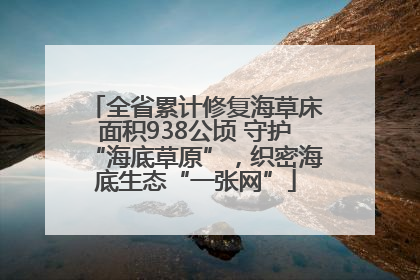 全省累计修复海草床面积938公顷 守护“海底草原”，织密海底生态“一张网”