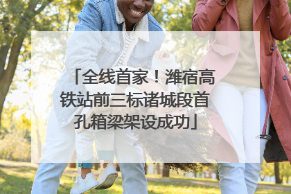 全线首家！潍宿高铁站前三标诸城段首孔箱梁架设成功