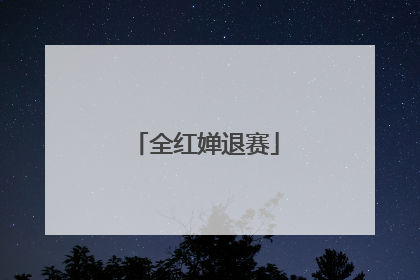 全红婵退赛