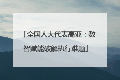 全国人大代表高亚：数智赋能破解执行难题