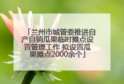 兰州市城管委推进自产自销瓜果临时摊点设置管理工作 拟设置瓜果摊点2000余个