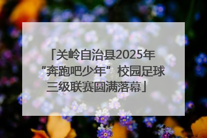 关岭自治县2025年“奔跑吧少年”校园足球三级联赛圆满落幕