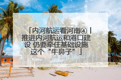 内河航运看河南④丨推进内河航运和港口建设 仍要牵住基础设施这个“牛鼻子”