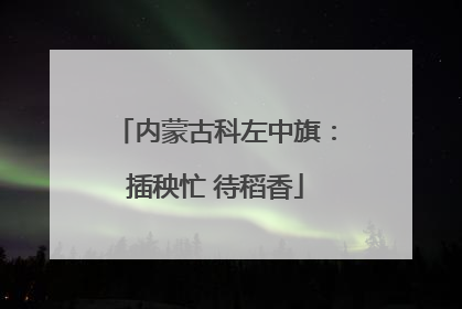 内蒙古科左中旗：插秧忙 待稻香