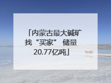 内蒙古最大碱矿找“买家” 储量20.77亿吨